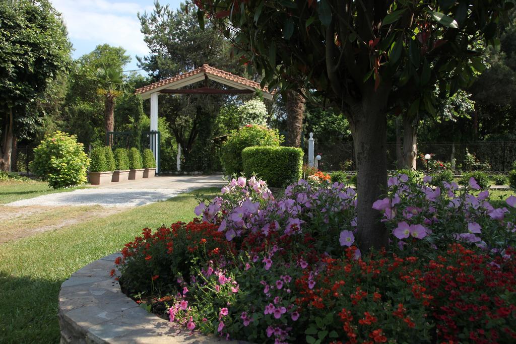 Archontiko Driani Apartment Paralia Pantaleimonos Ngoại thất bức ảnh